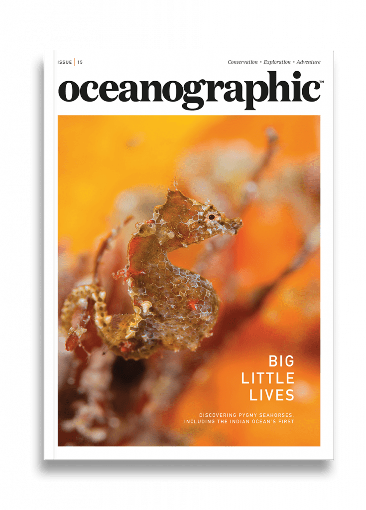 Sea otters: Ancient coexistence - Oceanographic