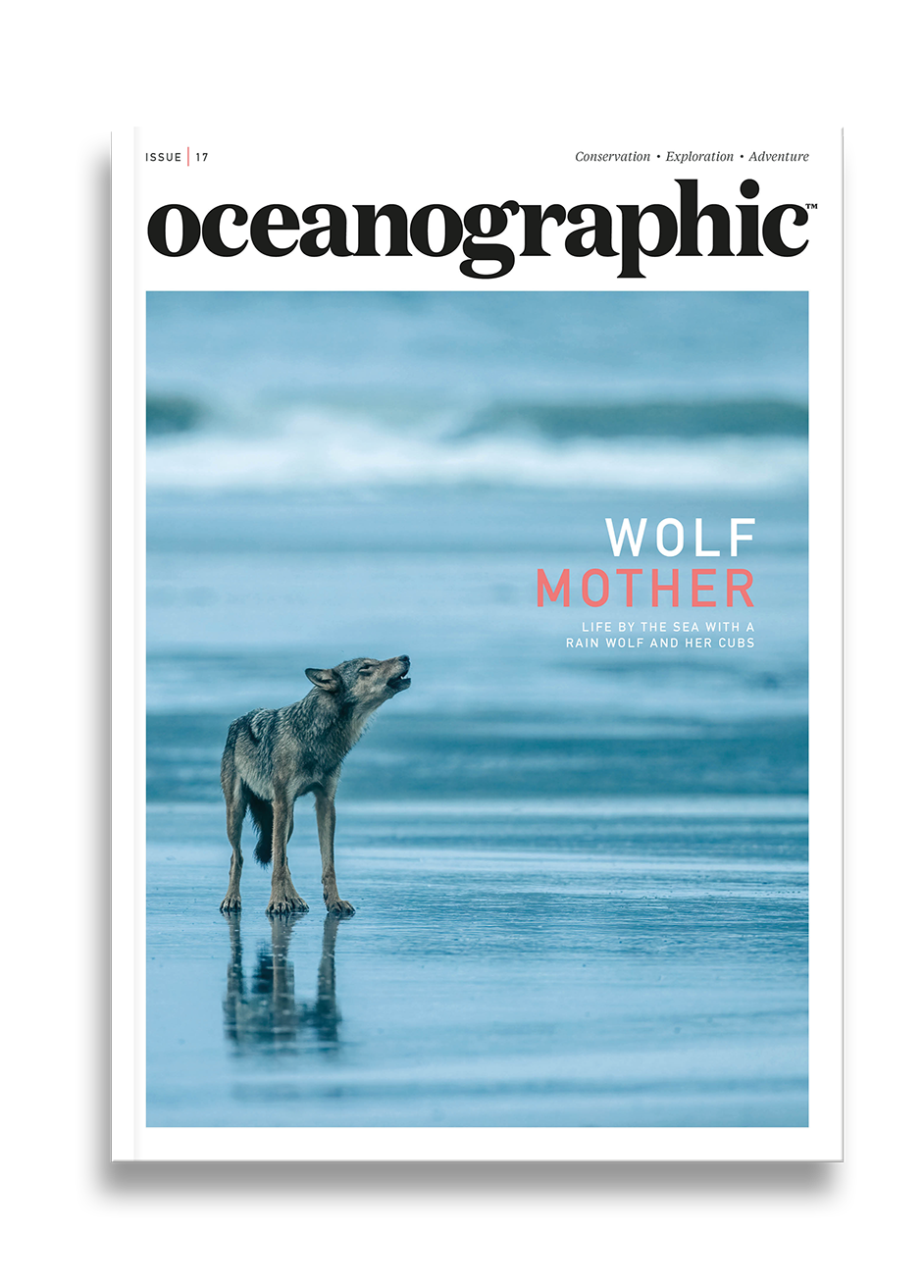 Issue Seventeen / Wolf mother - Oceanographic Magazine