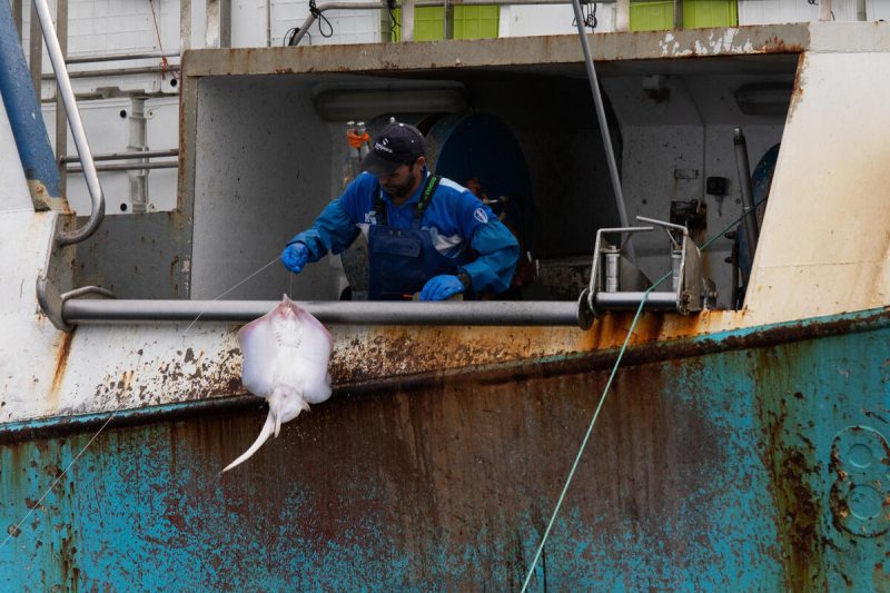 Longlining and gillnetting off the UK’s South West coast - Oceanographic
