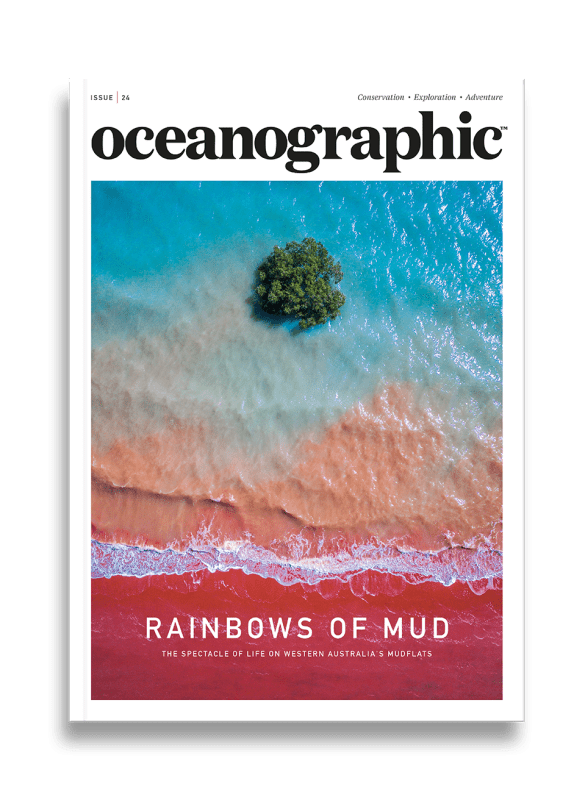 Issue 24 