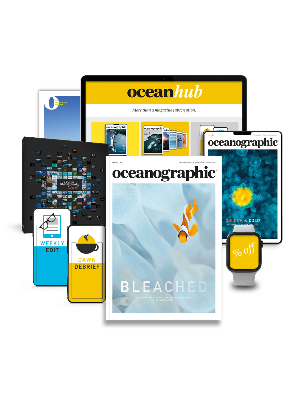 Issue 30 / Bleached - Oceanographic
