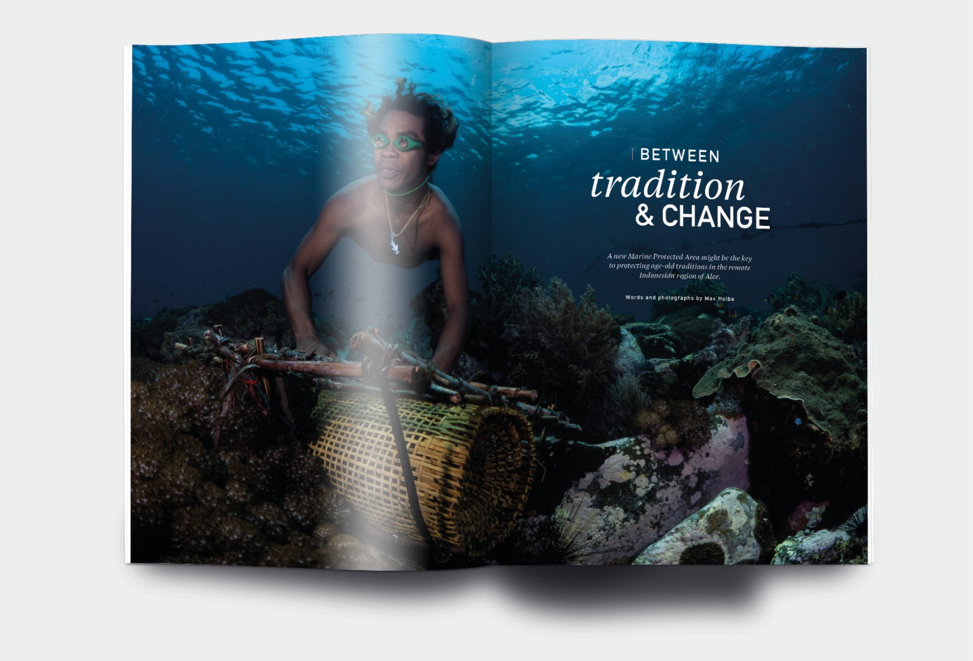 Issue 31 / Net losses - Oceanographic
