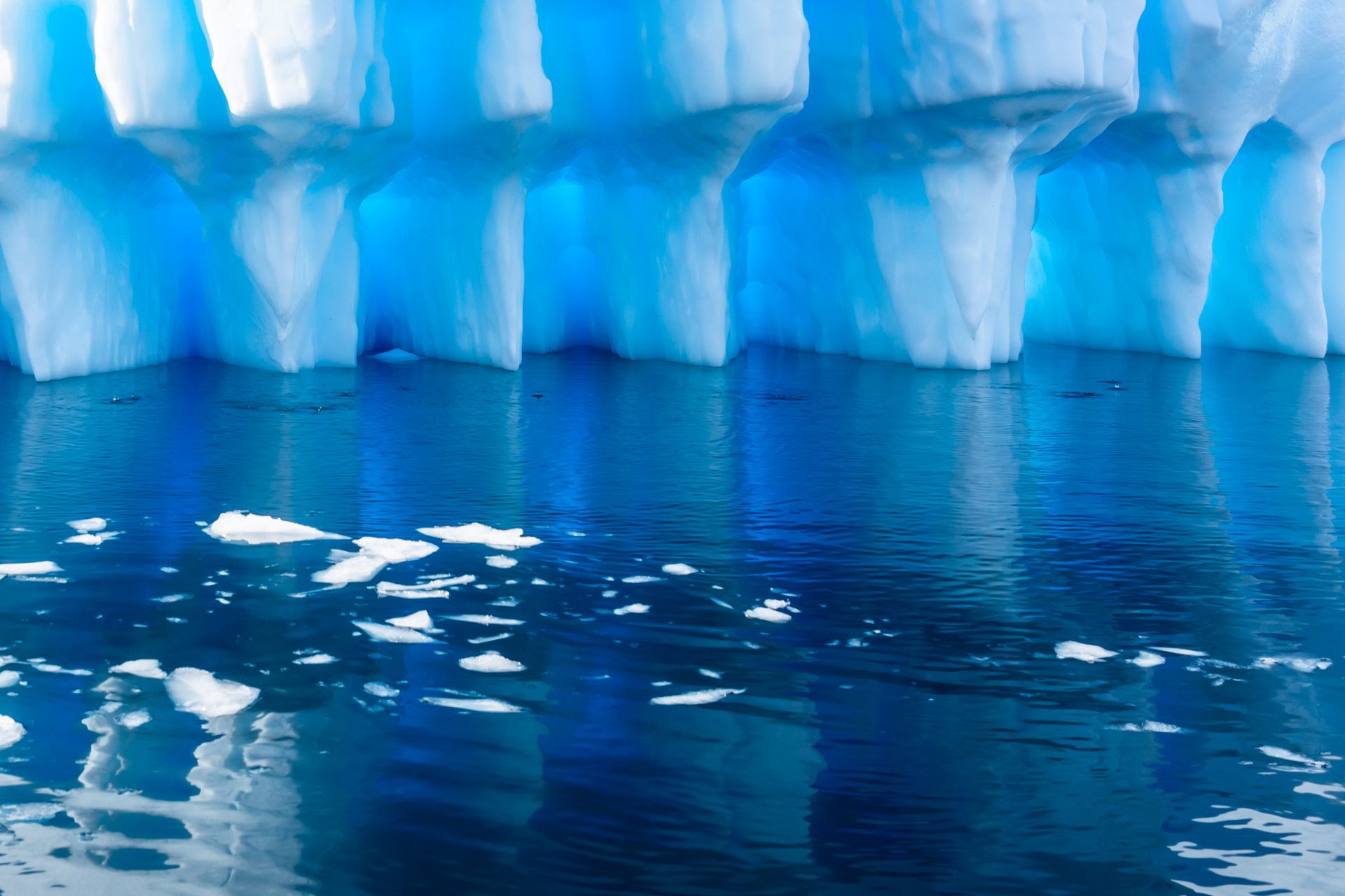 Penguins in Antarctica: Sentinels of climate change - Oceanographic