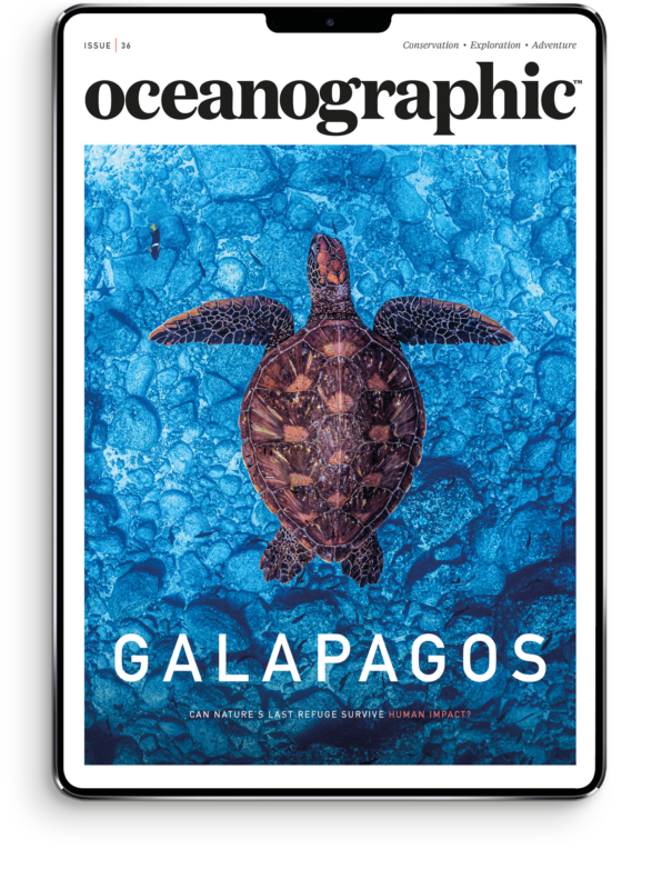 OG_newissueCOVER_master_DIGITAL_newsize_36