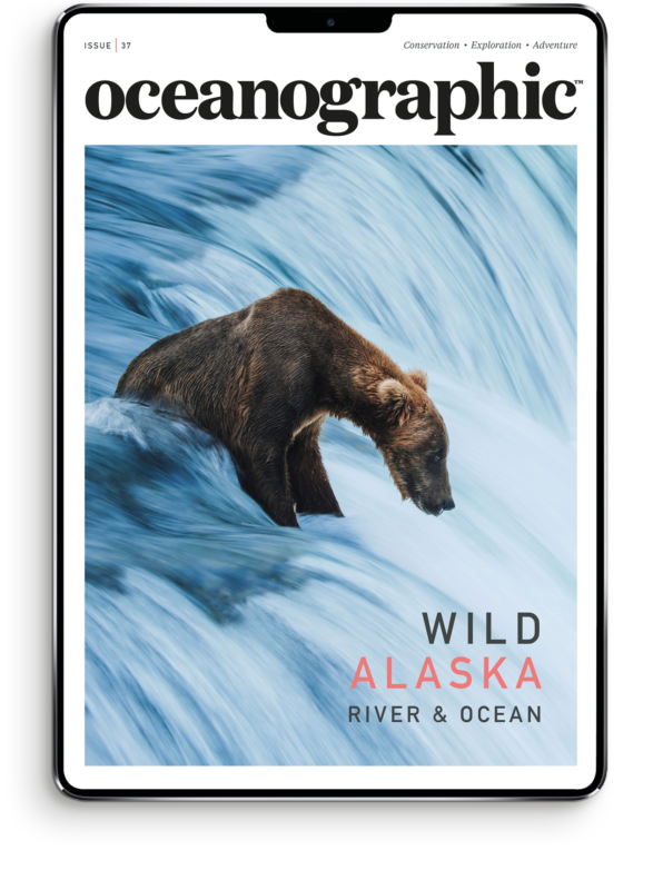 OG_newissueCOVER_master_DIGITAL_newsize_37