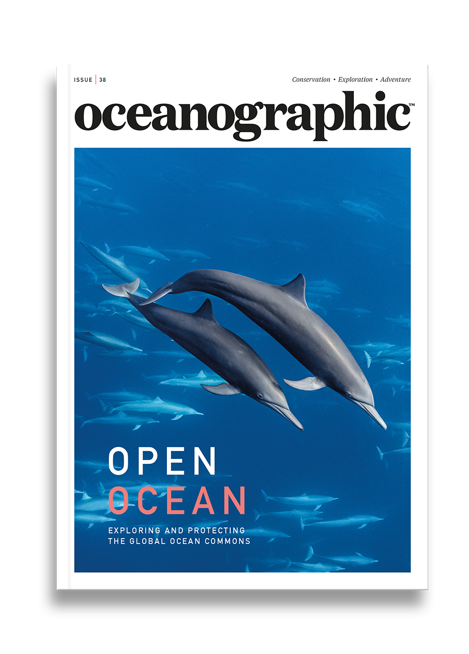 Free The Ocean Click