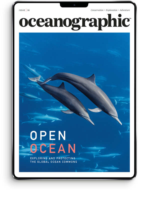 OG_newissueCOVER_master_DIGITAL_newsize_38