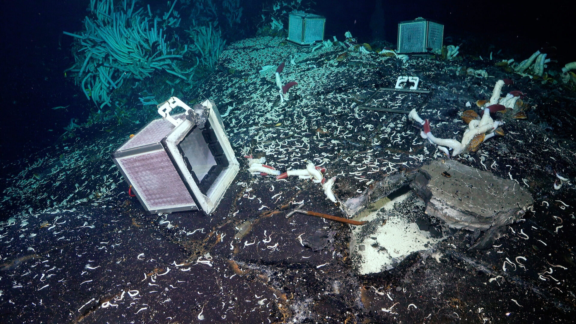 Subseafloor exploration finds 