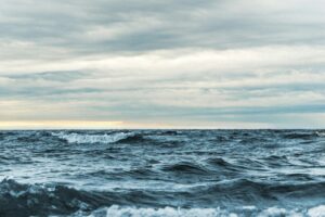 The high seas comprise nearly two-thirds of the ocean’ area and represent 95% of the habitable space, by volume, on our planet.