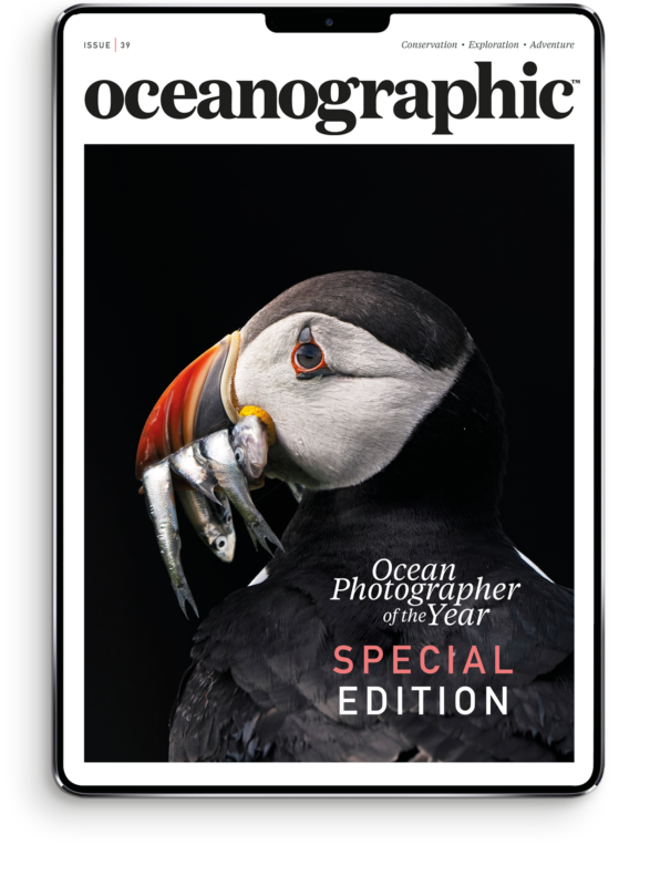 OG_newissueCOVER_master_DIGITAL_newsize_39