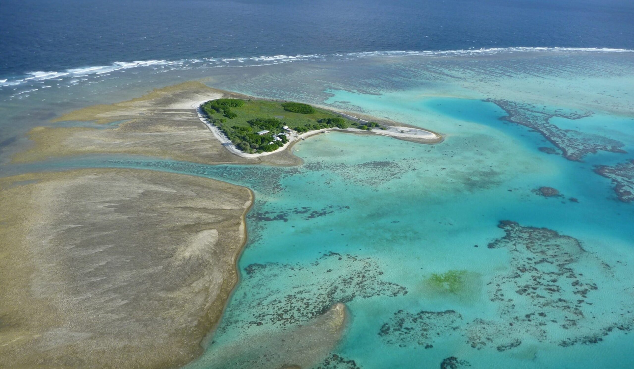 Coral bleaching on Great Barrier Reef reaches 'catastrophic' levels
