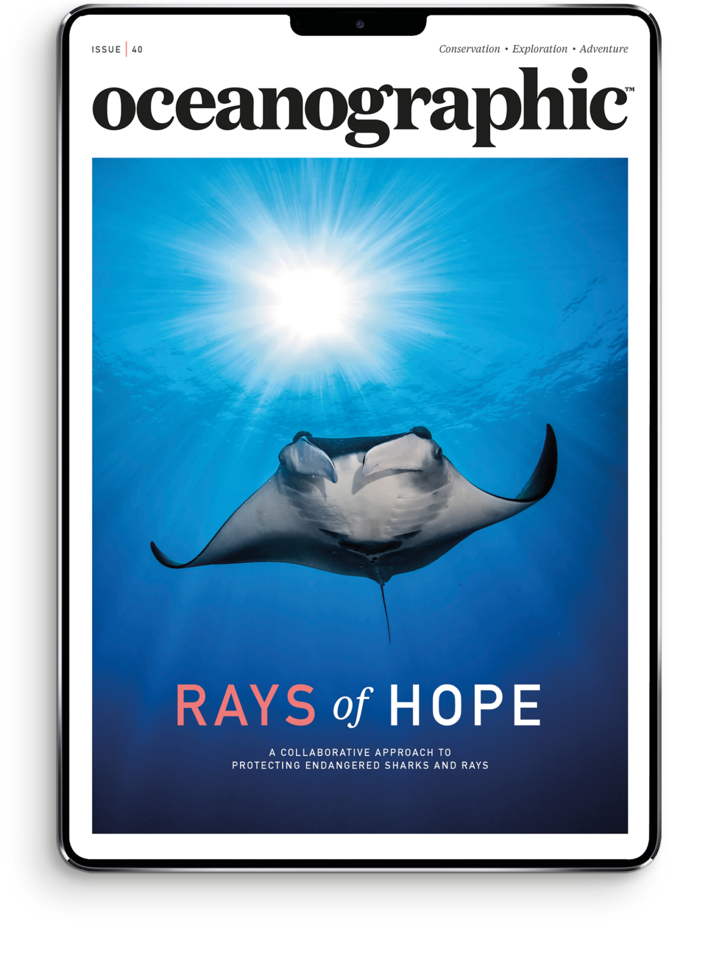 Wh smith camberley oceanographic