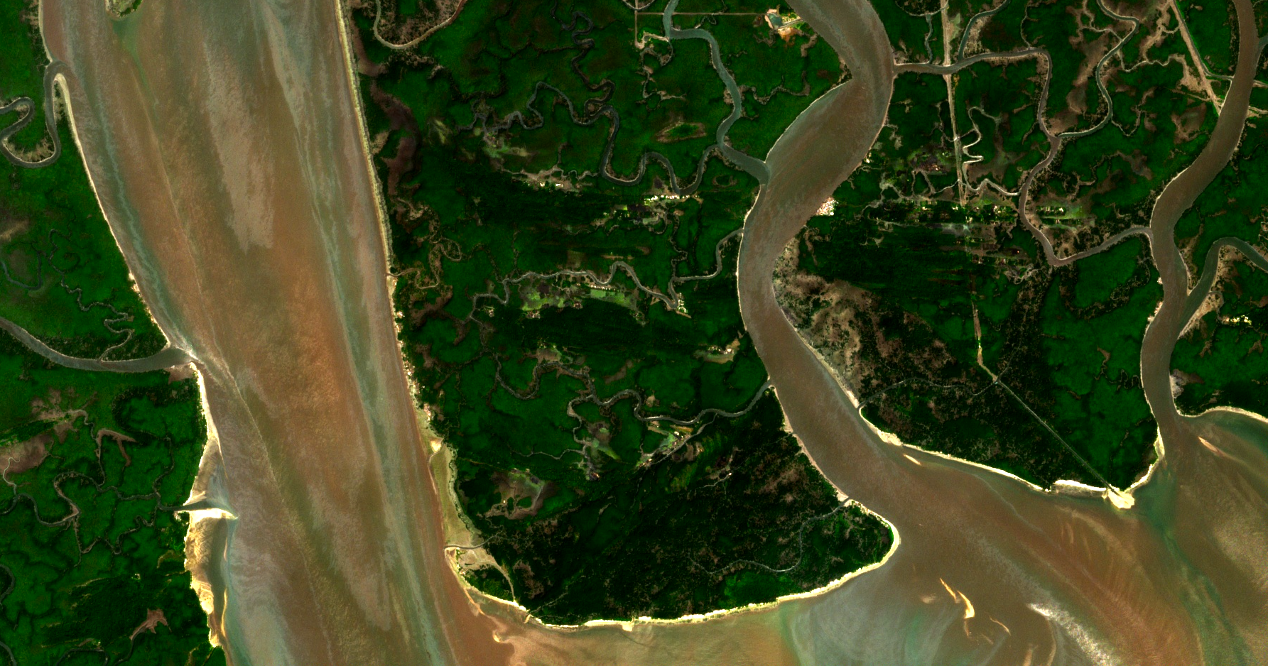 Study reveals ecological damage from Niger Delta oil spills