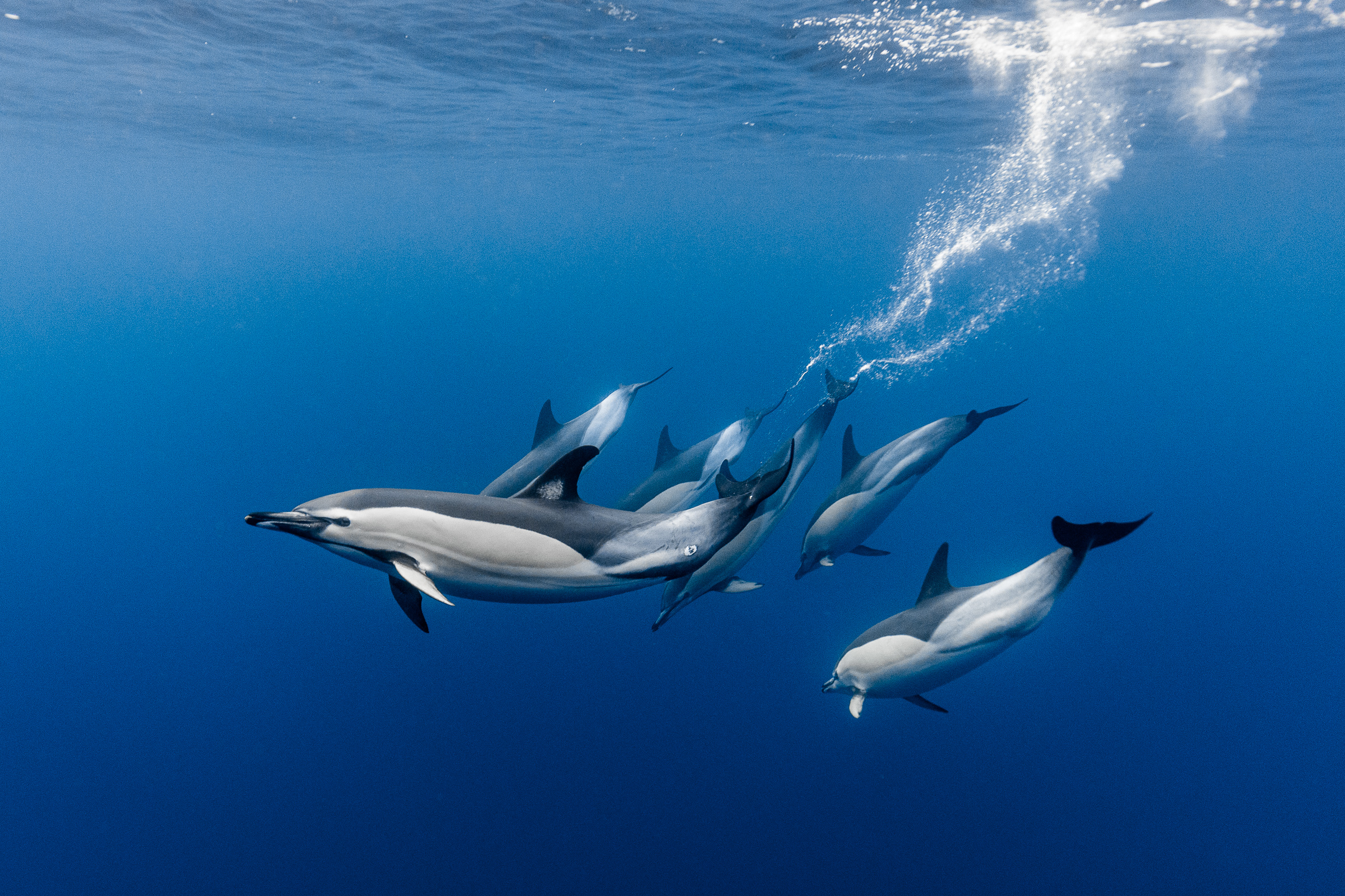 The Azores: An ocean photographer's calling