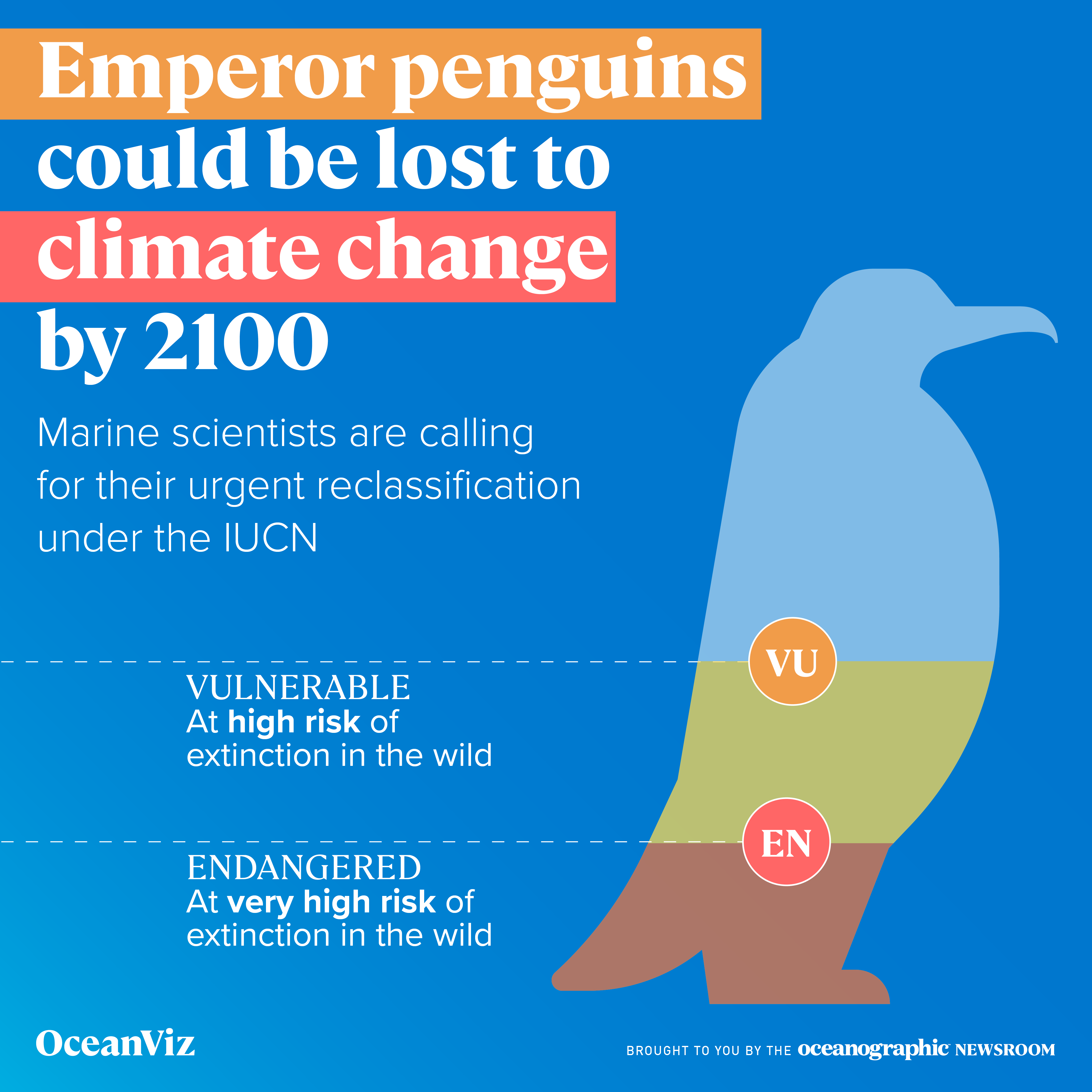 Emperor penguins could be lost to climate change by 2100 - Oceanographic