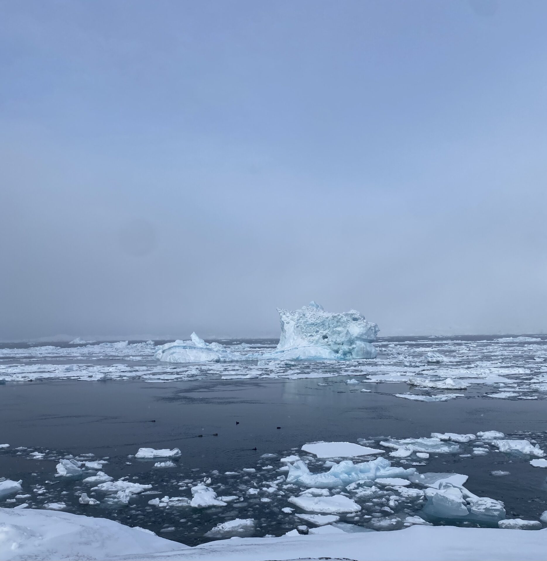Labrador sea