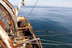 France bottom trawling