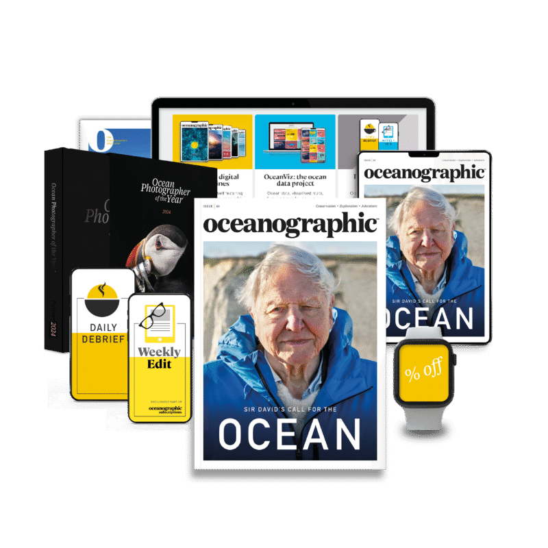Subs package print_ banner_43