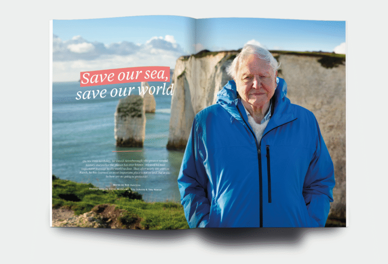 OM_website_ISSUE43_1