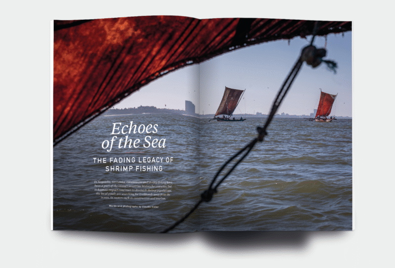 OM_website_ISSUE43_2