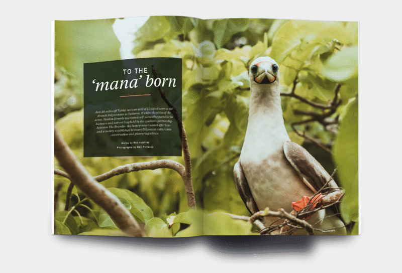 OM_website_ISSUE43_3