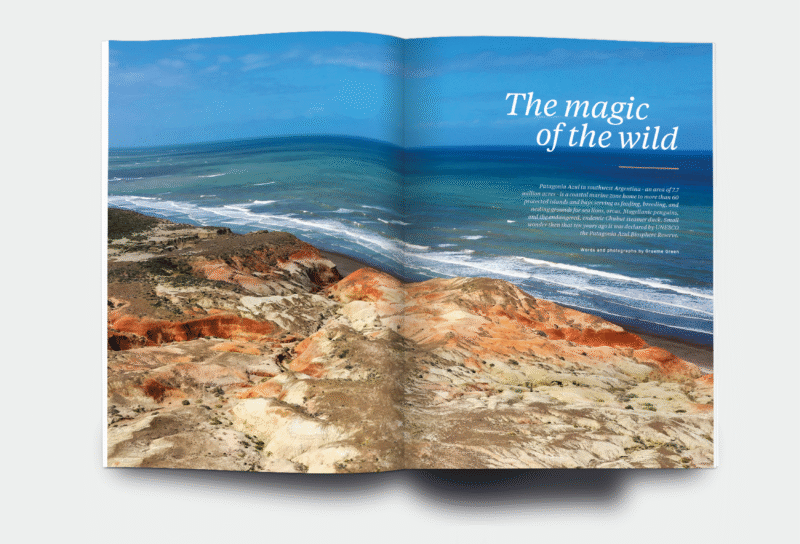 OM_website_ISSUE43_4