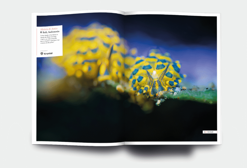 OM_website_ISSUE43_6