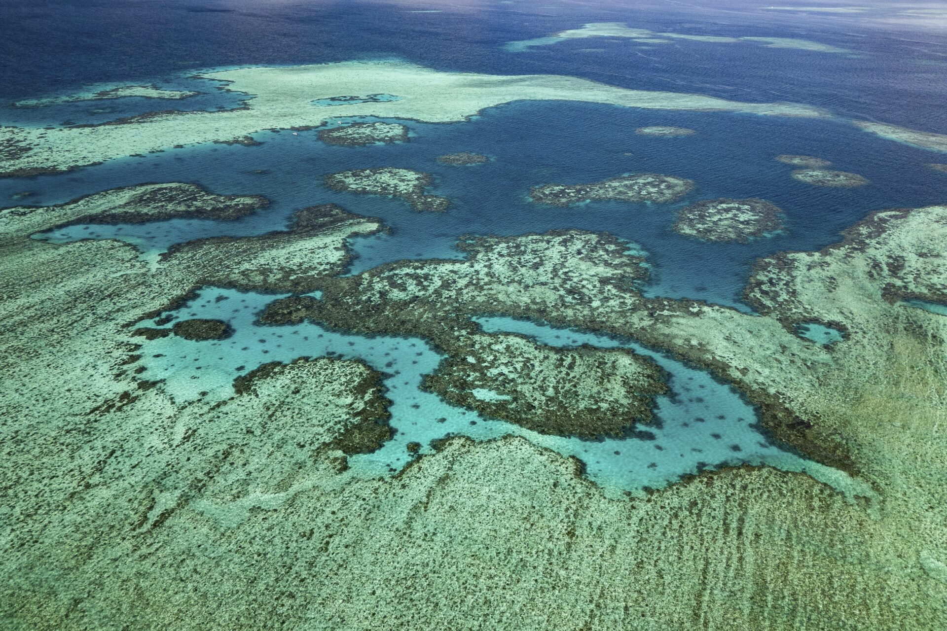 Mayotte’s Ocean Heritage -- Serge Melesan underwater image, Oceanographic Magazine