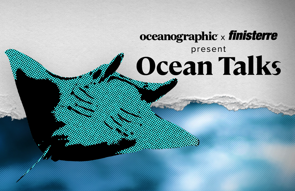 Rays of hope: What are we doing to protect our ocean’s gentlest giants?
