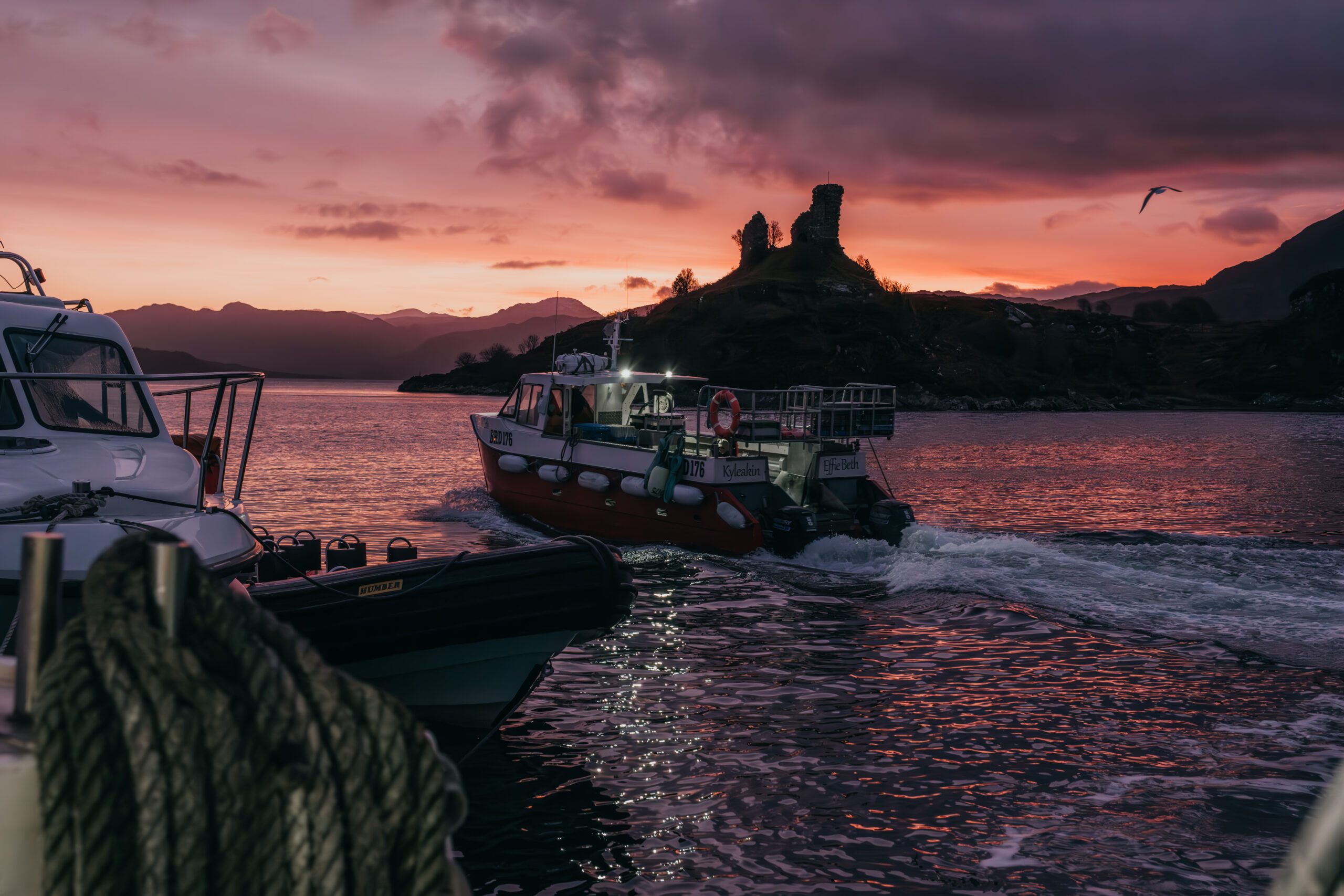 “Our seas cannot wait”: UK fisheries consultation criticised