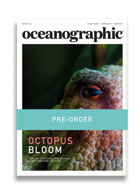 Shop_singleprod_mag_cover_ISSUE44_PREORDER