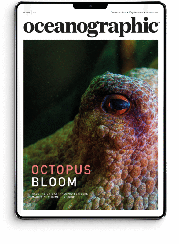 ISSUE 44 OG_newissueCOVER_master_DIGITAL_newsize_44