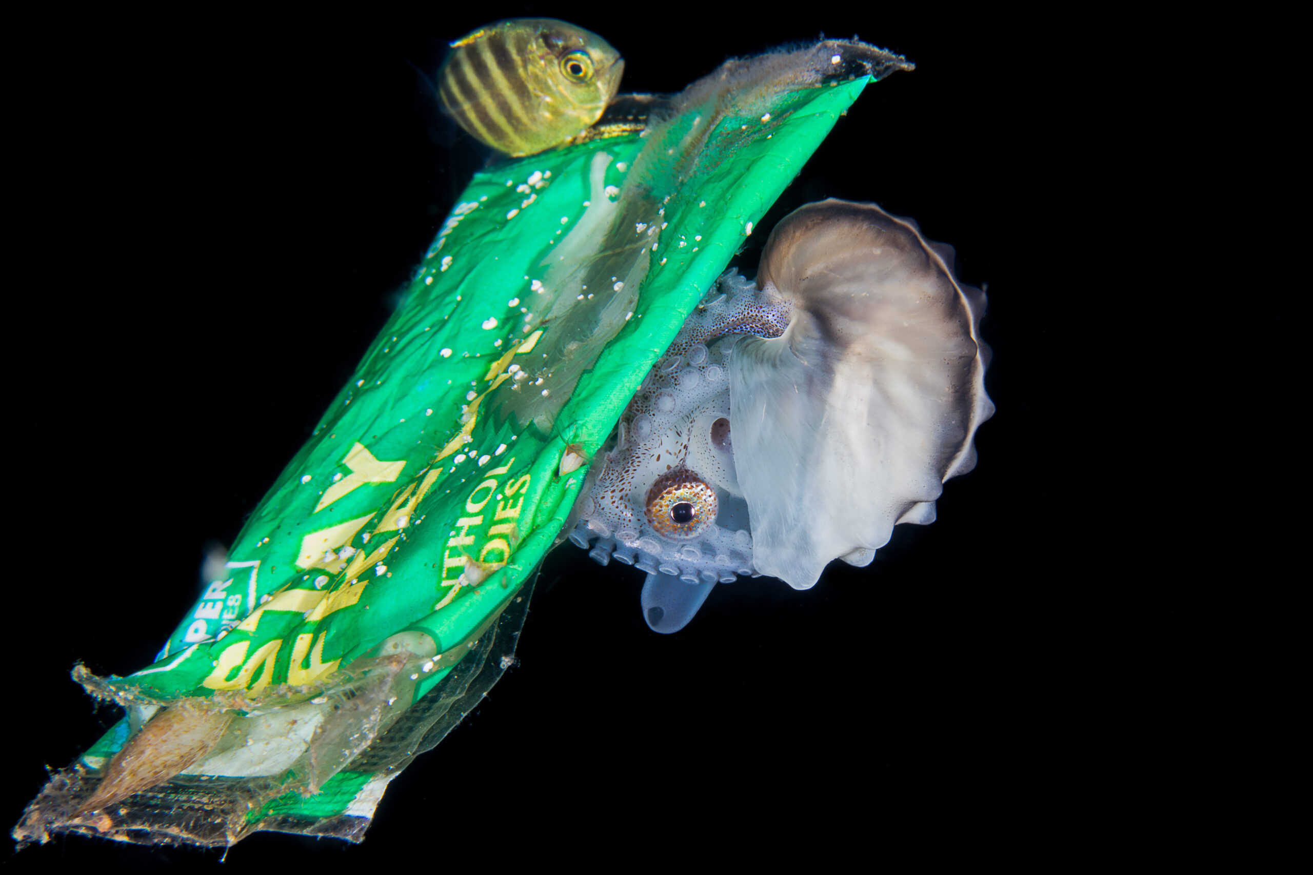 One year on and the global plastics treaty 'is going&hellip;