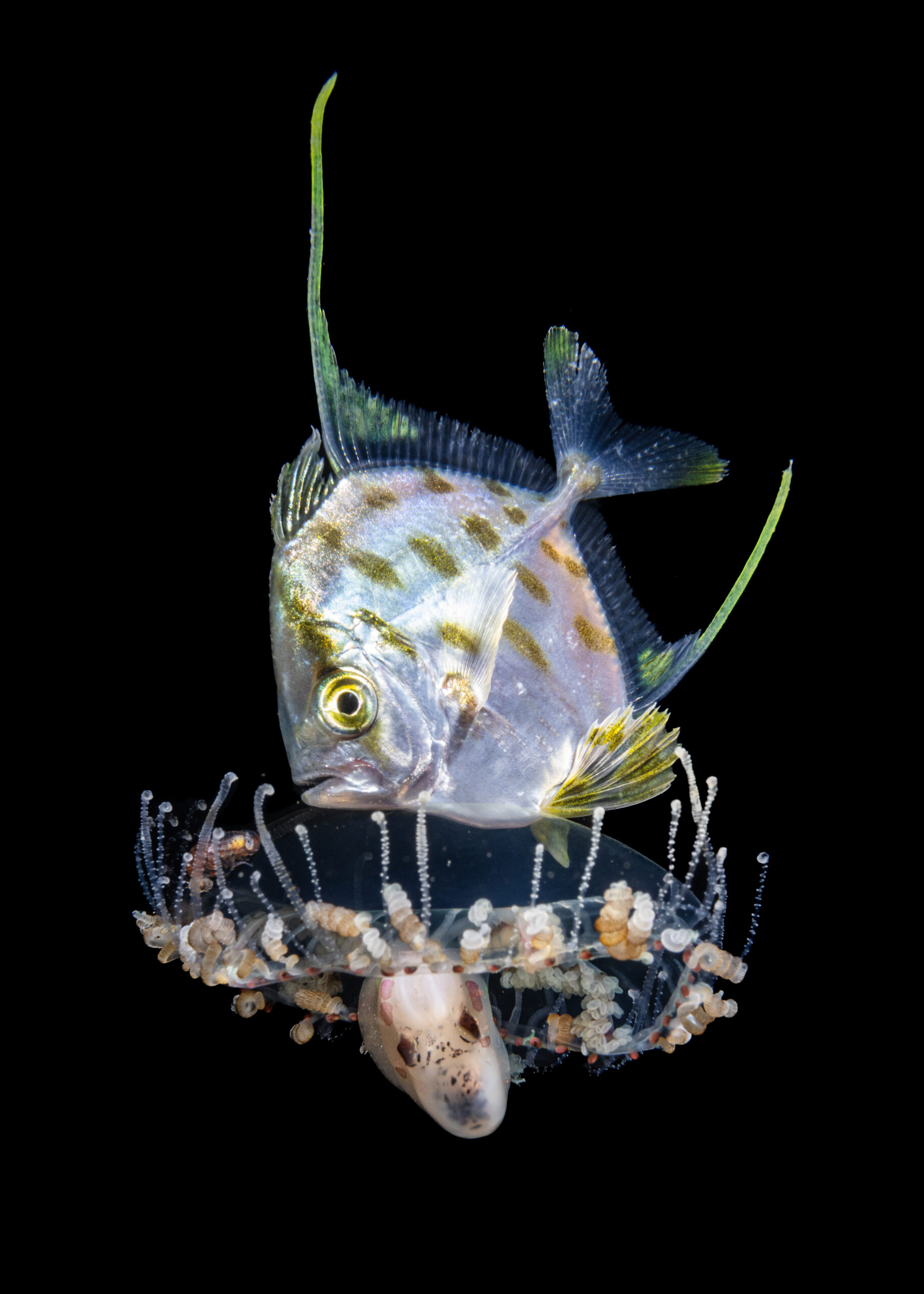 3_Tomb&Shelter_2020Jan