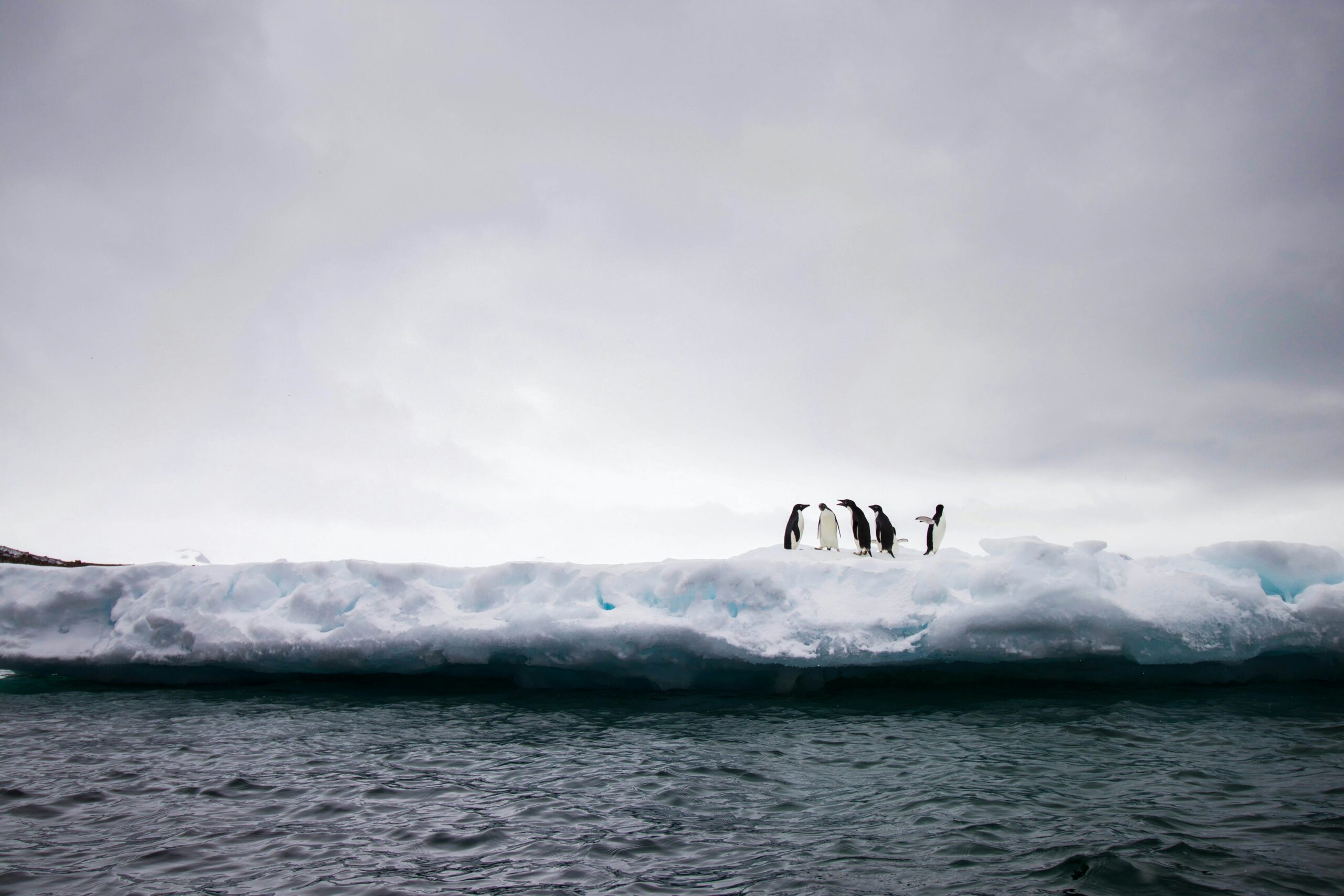 Rapid changes in the Antarctic are ‘stark warning’ to the world