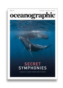 Shop_singleprod_mag_cover_ISSUE45