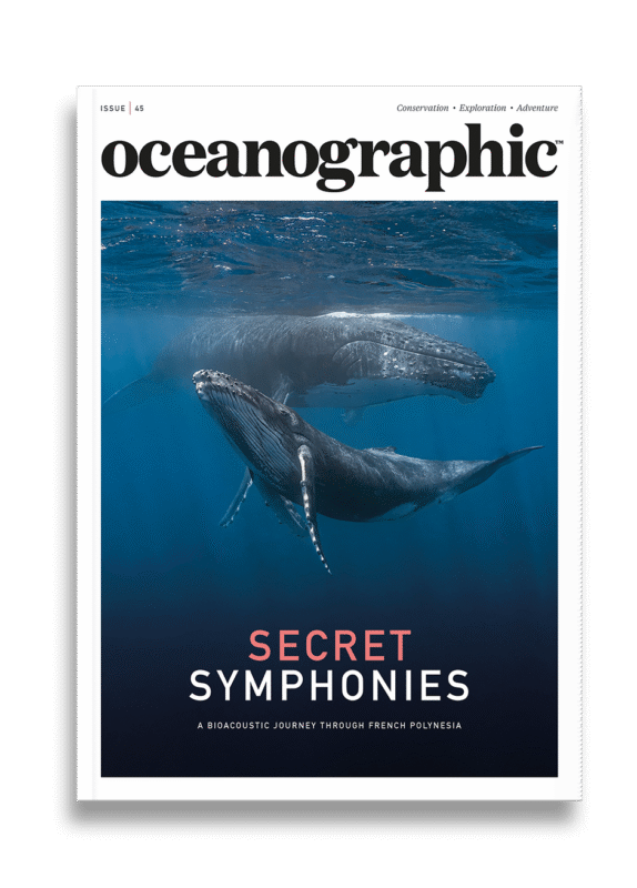 Shop_singleprod_mag_cover_ISSUE45