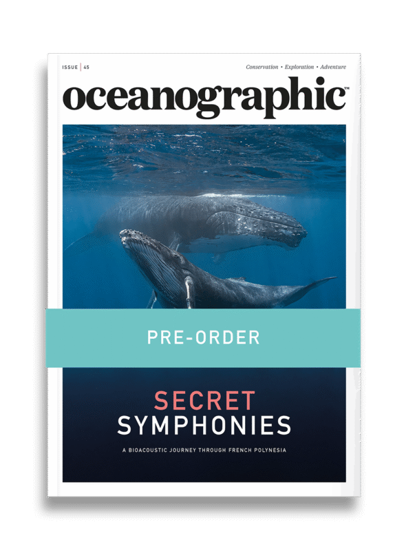 Shop_singleprod_mag_cover_ISSUE45_PREORDER