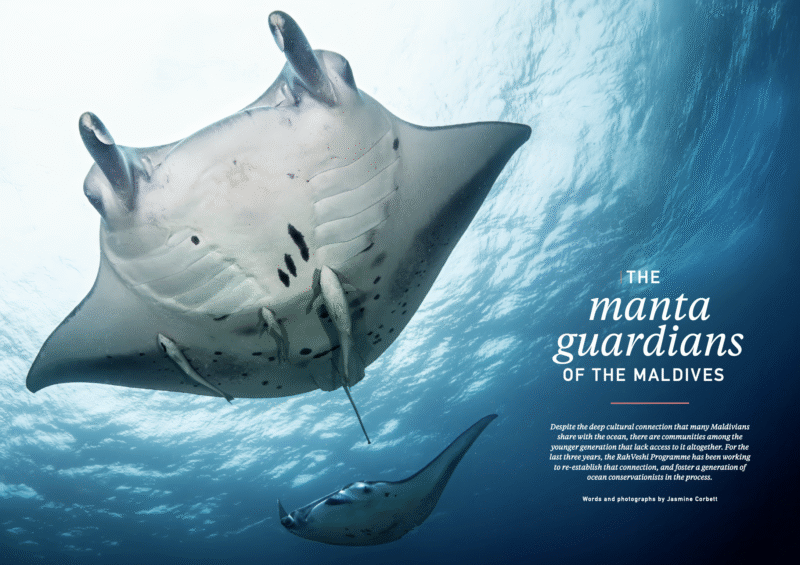 Screenshot 2025-10-24 at 16.01.39