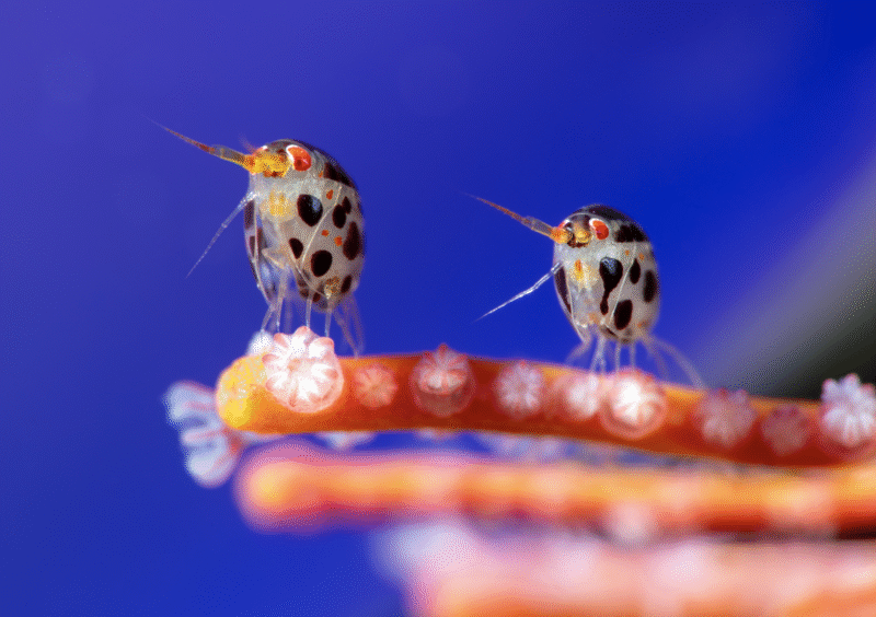 Screenshot 2025-10-24 at 16.02.02