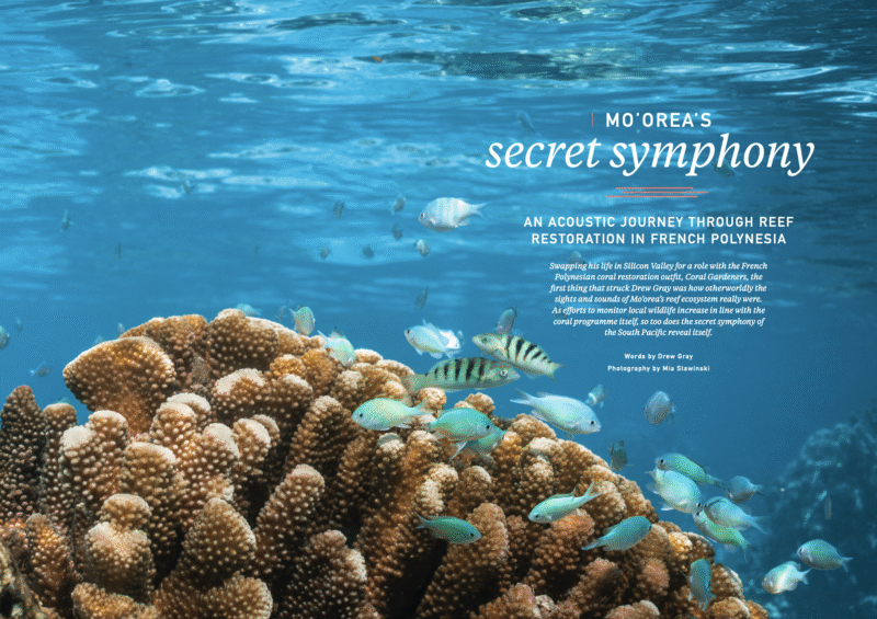 Screenshot 2025-10-24 at 16.01.01