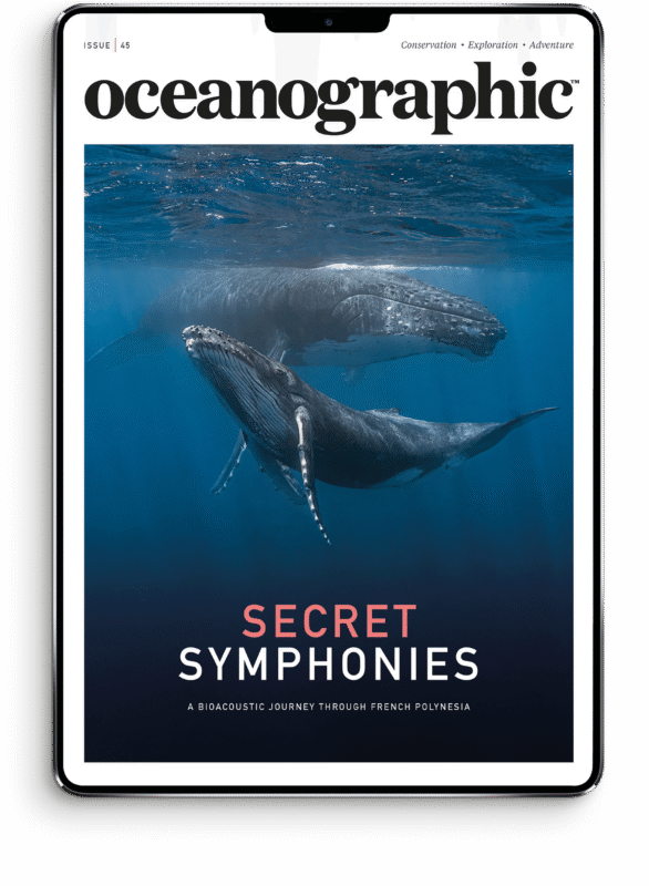 OG_newissueCOVER_master_DIGITAL_newsize_45