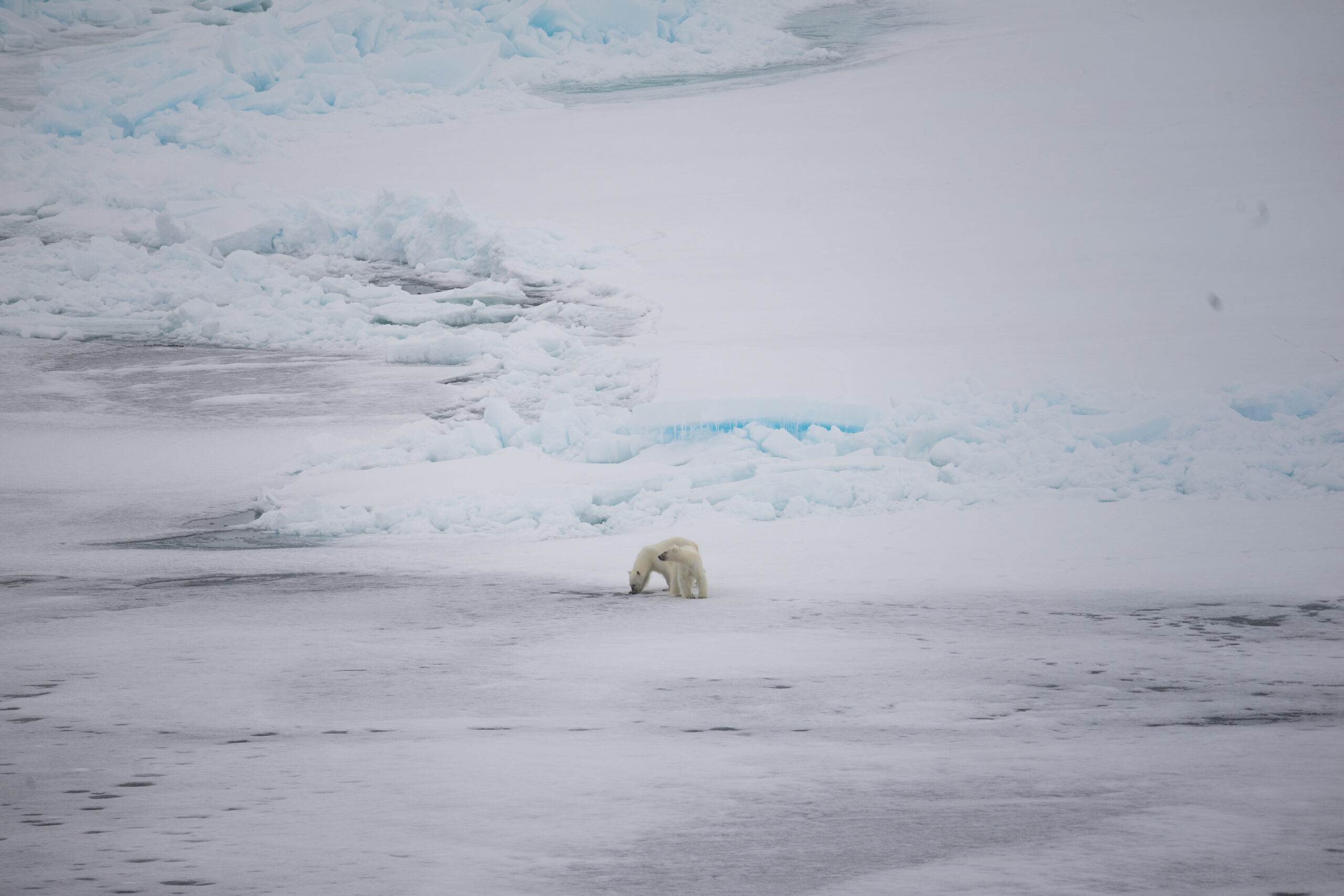 Why are polar experts taking a stand against geo-engineering?