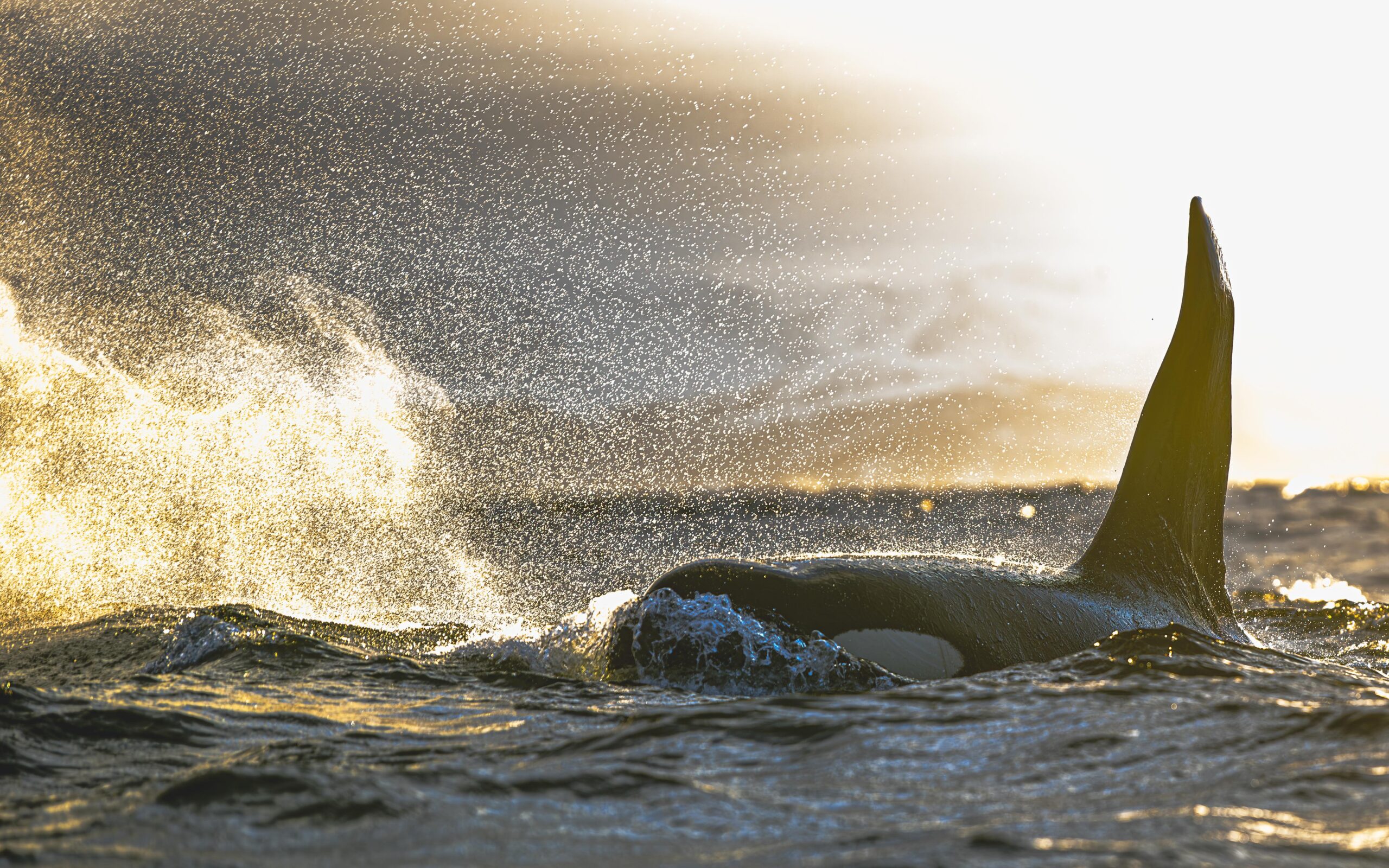 Norway extends Arctic deep-sea mining freeze through 2029