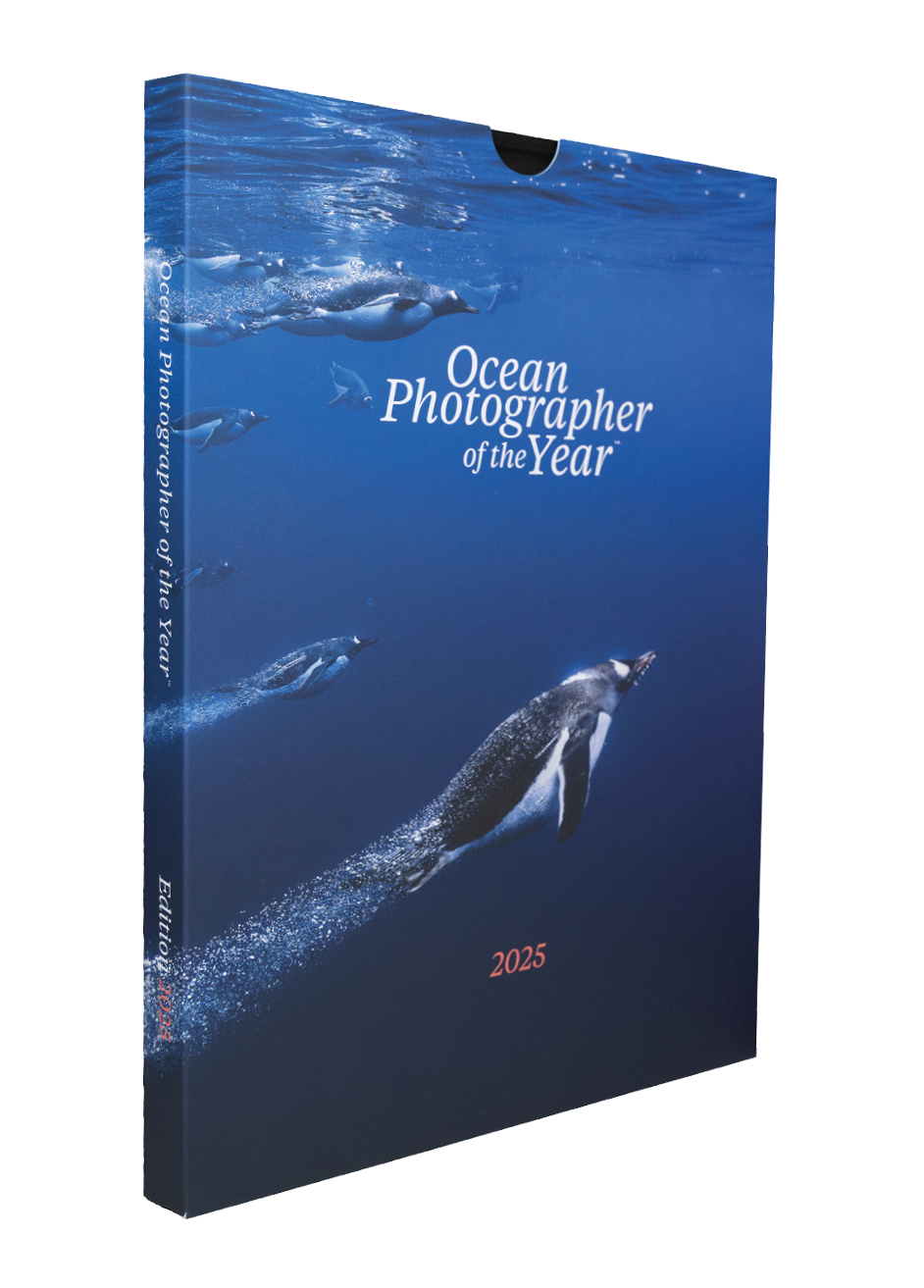 Shop_otherproductsHEADER_OPYbo