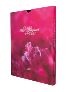 Shop_otherproductsHEADER_OPYbooK2025_PINK SLEEVE