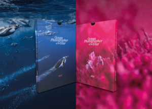 The Ocean Photographer of the Year Edition 2025 book in two colourways, a blue version featuring penguins and a pink version featuring a pink candy crab