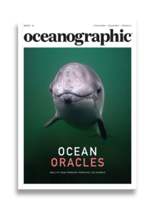 Shop_singleprod_mag_cover_ISSUE46