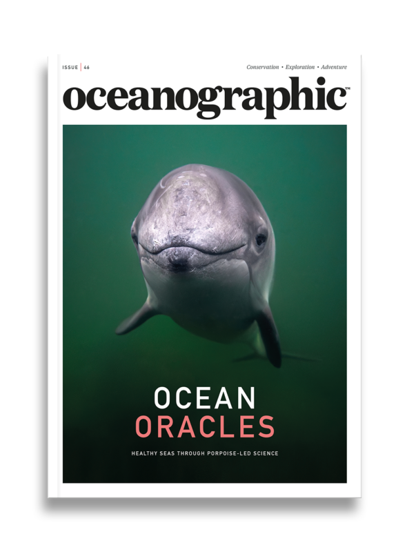 Shop_singleprod_mag_cover_ISSUE46