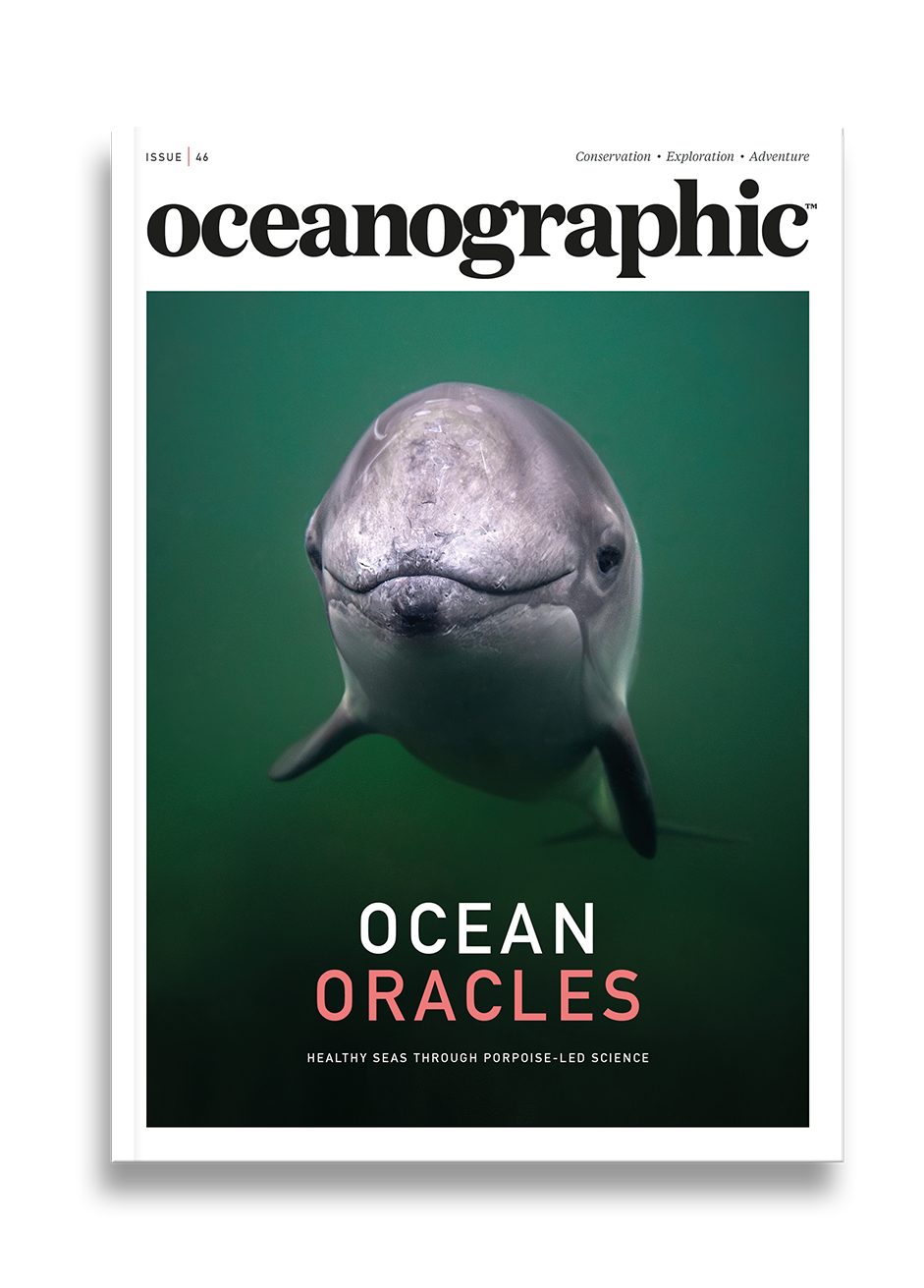 Shop_singleprod_mag_cover_ISSU